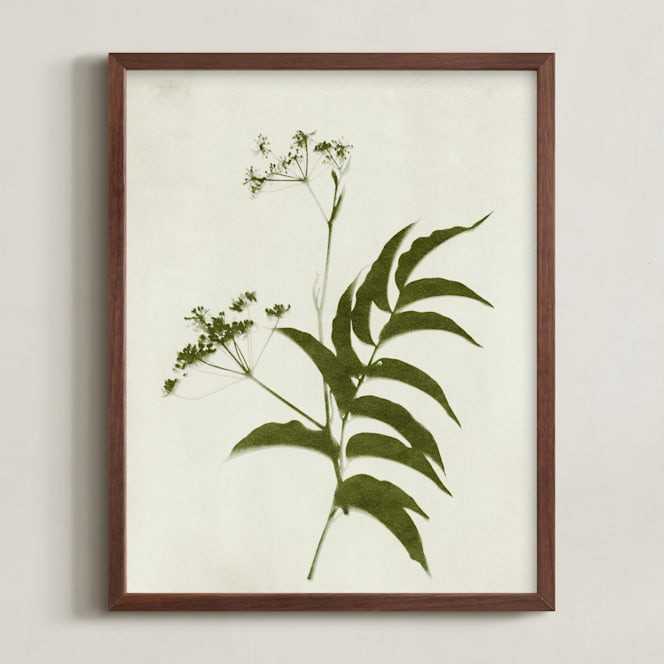 Foraged Iii | Minted