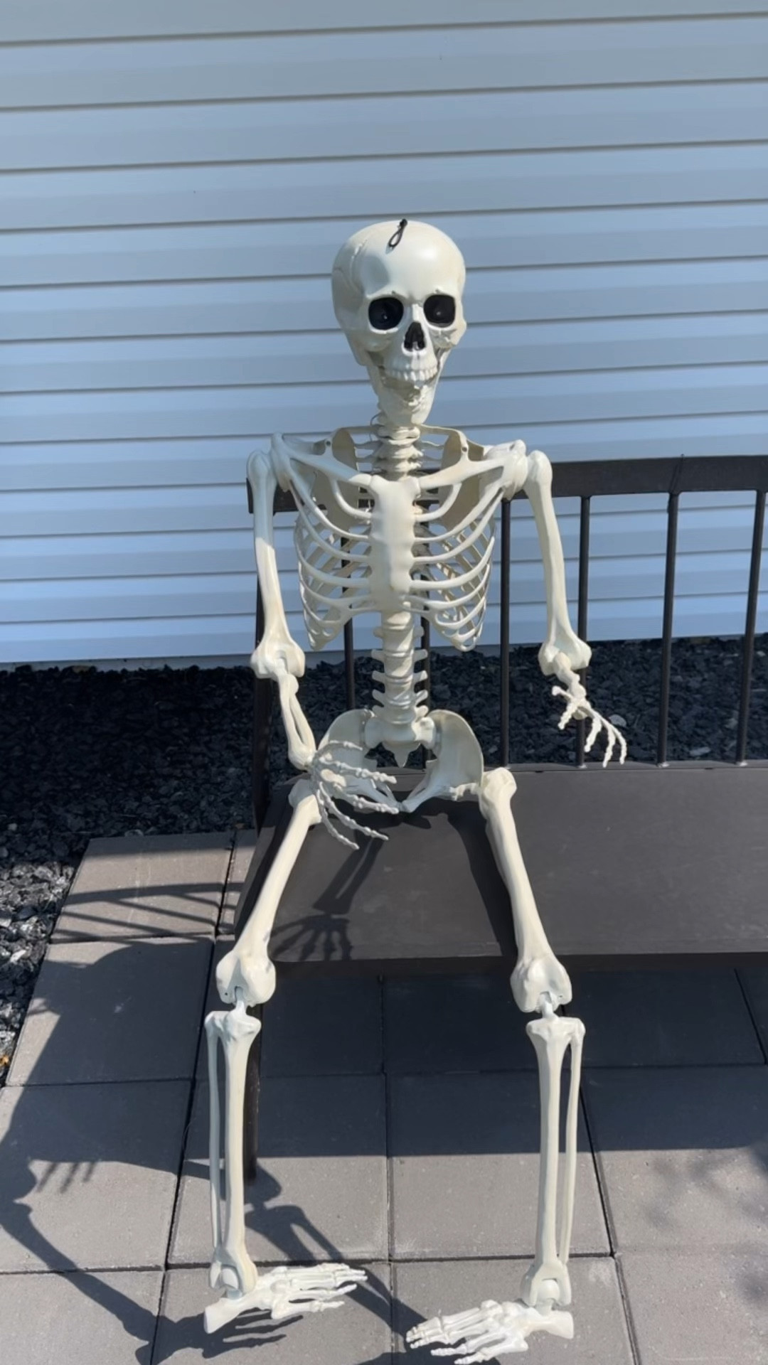 Still on sale! 5 foot skeleton for only $19.99!



At home store
Home decor
Halloween decor
Halloween decorations 


#LTKHome #LTKFallSale #LTKVideo