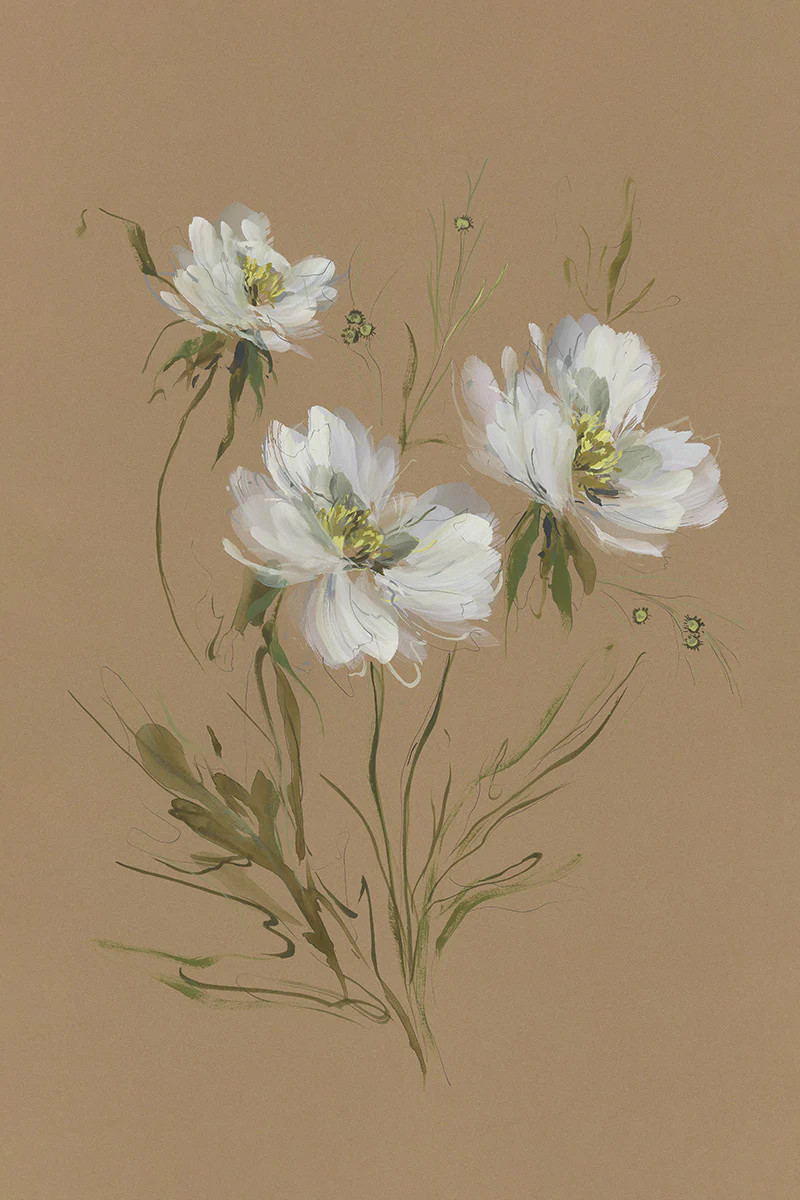 Cosmos III | Juniper Print Shop