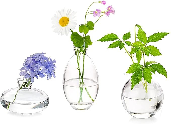 Glass Bud Vases Set of 3, Hewory Cute Clear Small Vases Handmade, Mini Glass Flower Vase for Flor... | Amazon (US)