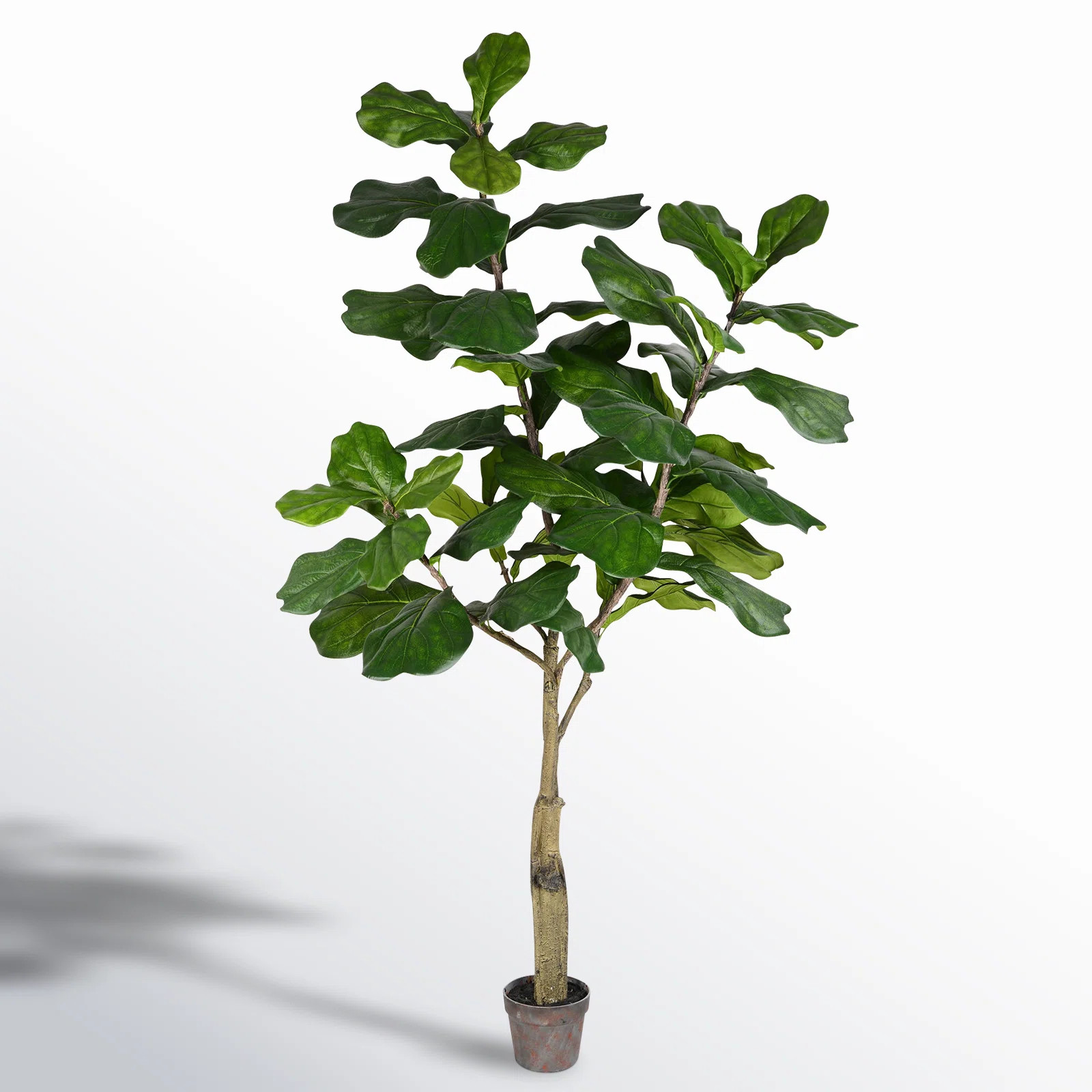Birch Lane™ Artificial Potted Fiddle Tree. & Reviews | Joss & Main | Joss & Main