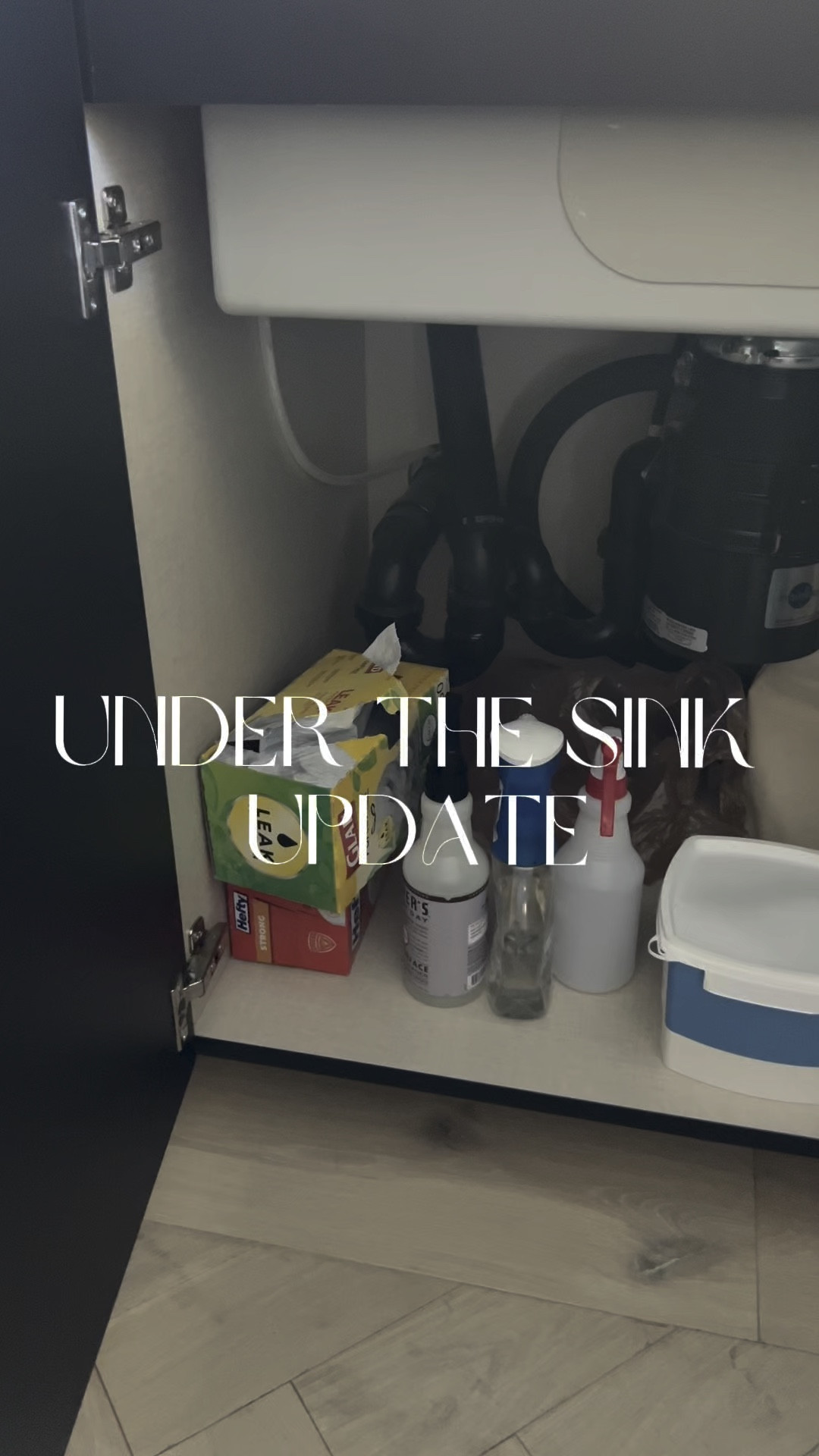 By far my favorite under the sink organization #organization #underthesink #amazon

#LTKVideo #LTKHome