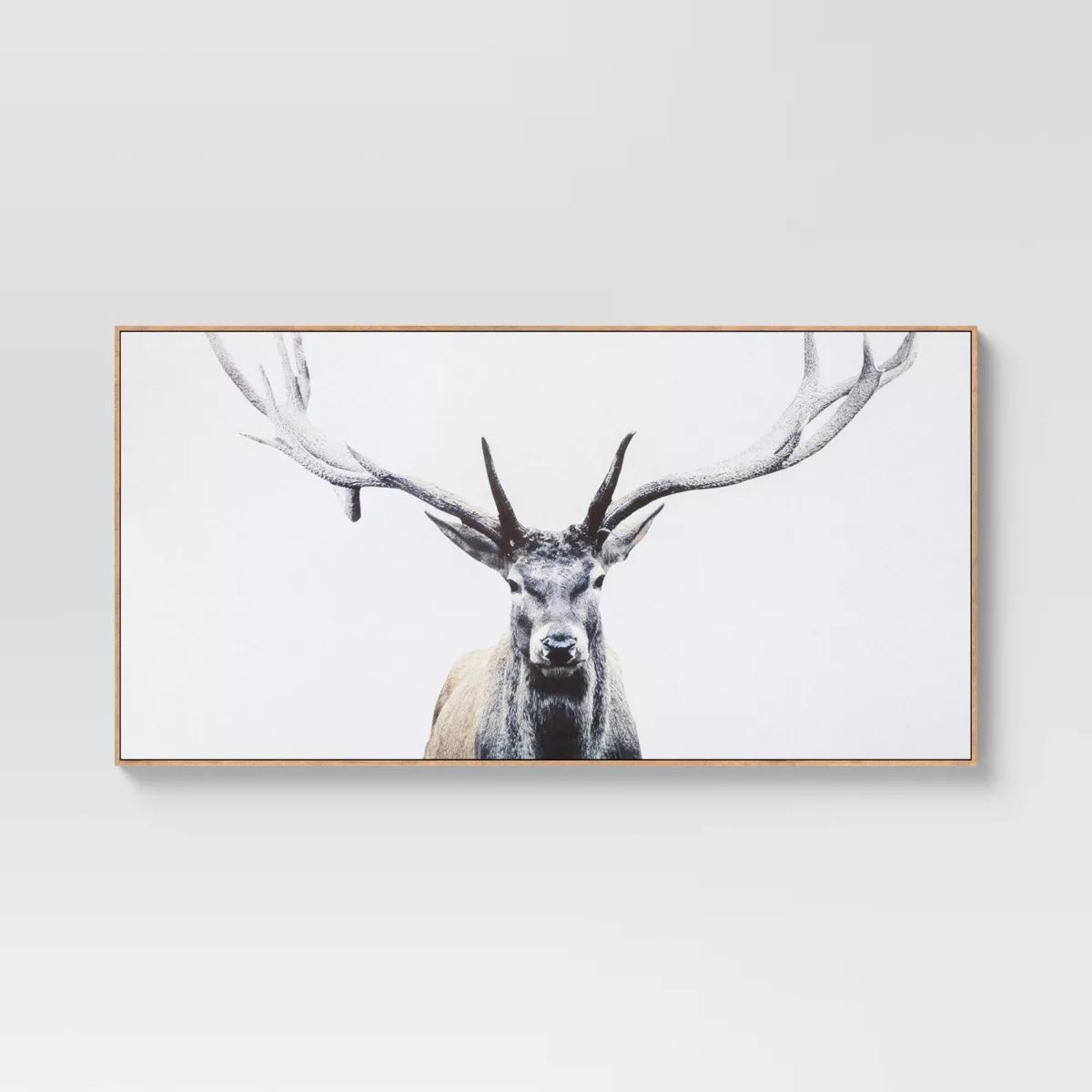 47" x 24" Deer Framed Wall Canvas - Threshold™ | Target