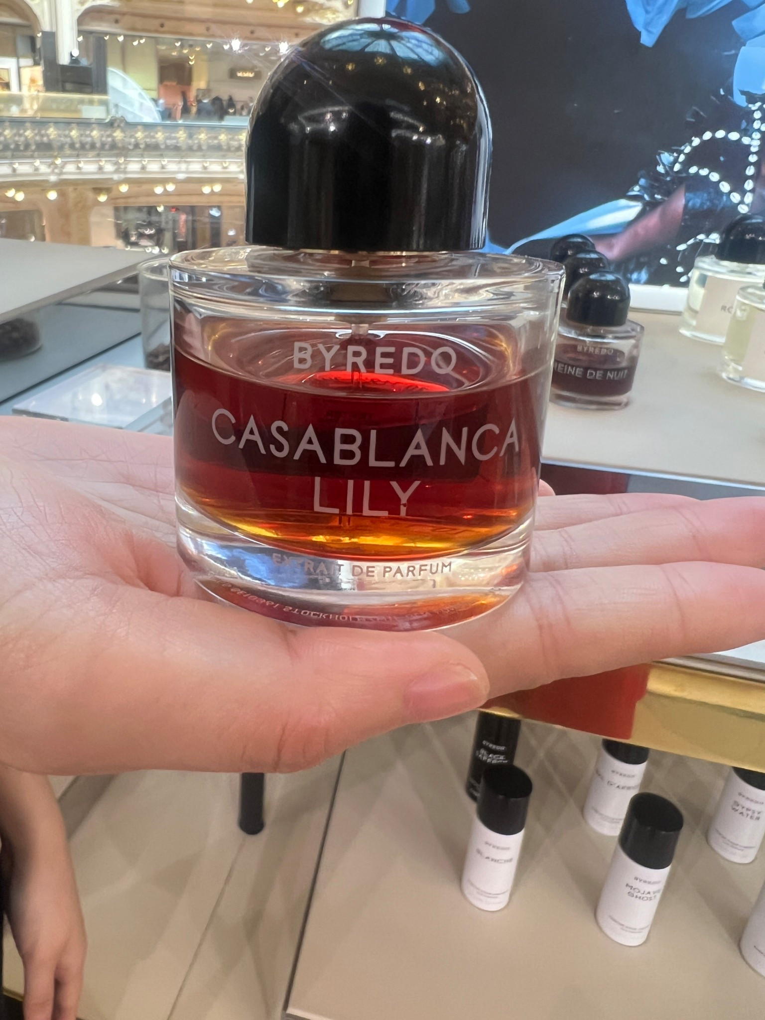 #LTKHoliday #LTKGiftGuide #LTKBeauty