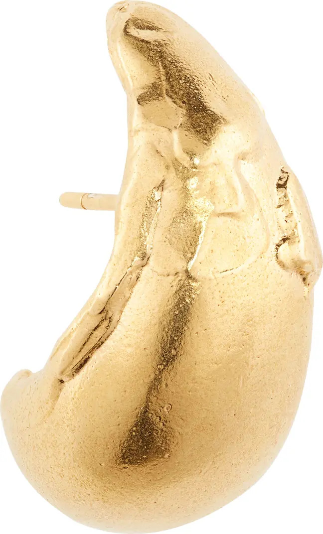 Alighieri The Abundant Dream Hoop Earrings | Nordstrom | Nordstrom