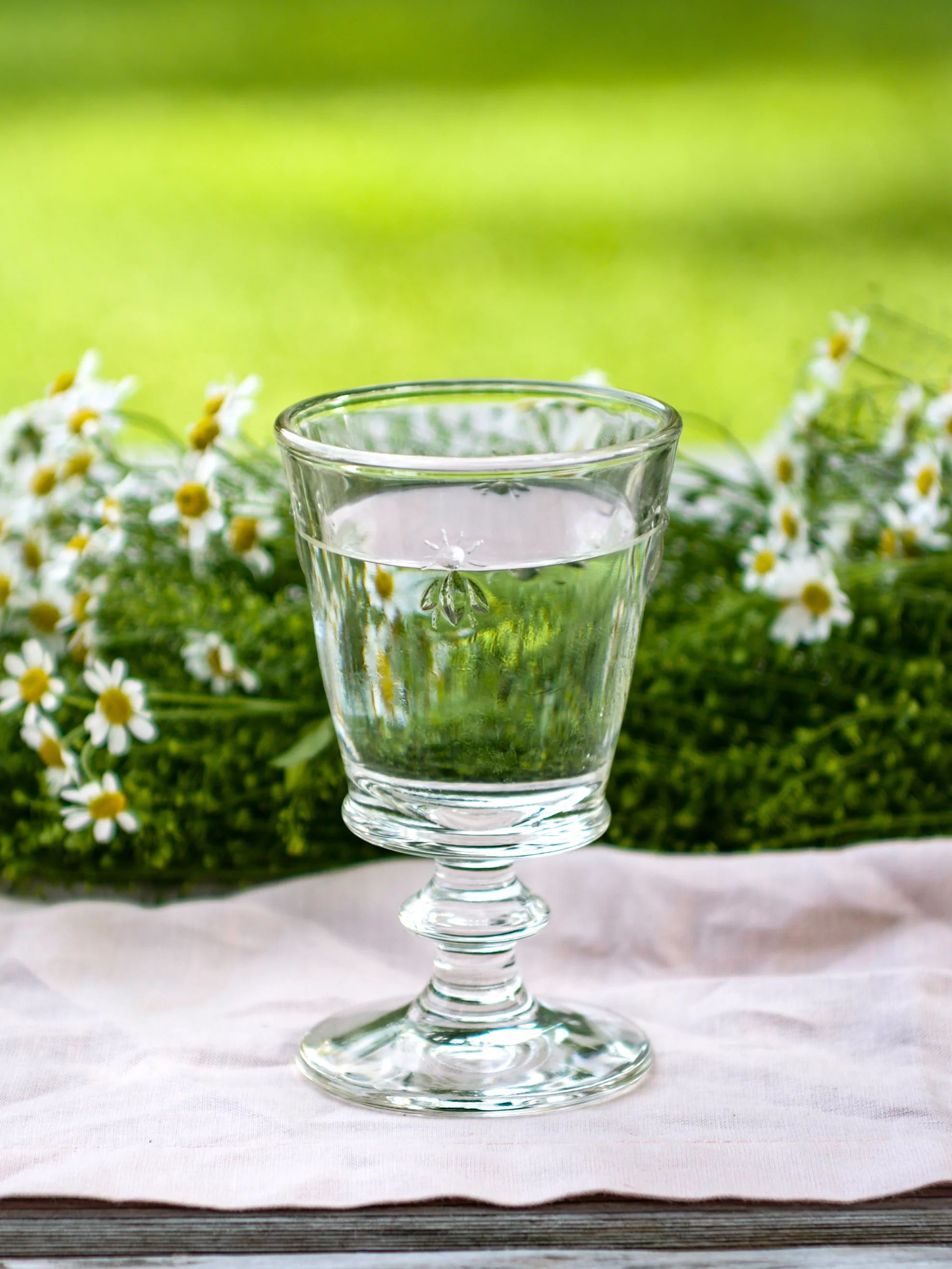 La Rochère Bee Water Glass Set | Weston Table
