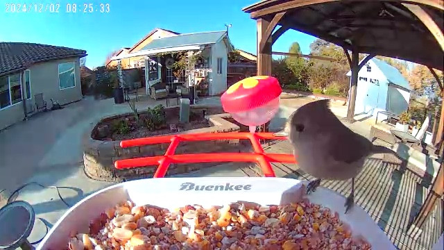 A great gift for parents or people that love bird watching. Gifts for mom or grandma too!

#LTKHoliday #LTKFindsUnder100 #LTKWatchNow