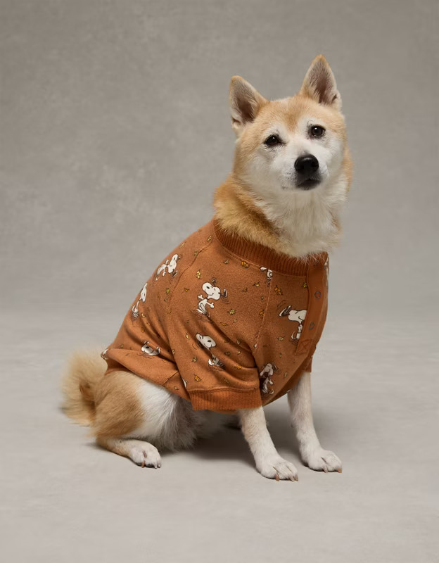 ABO Snoopy Fall Leaves Plush PJ Shirt | American Eagle Outfitters (US & CA)