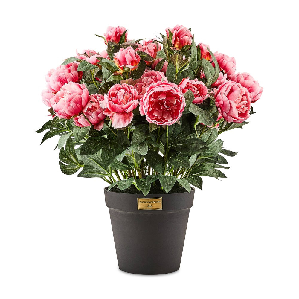 Pink Peony Urn Filler | MacKenzie-Childs