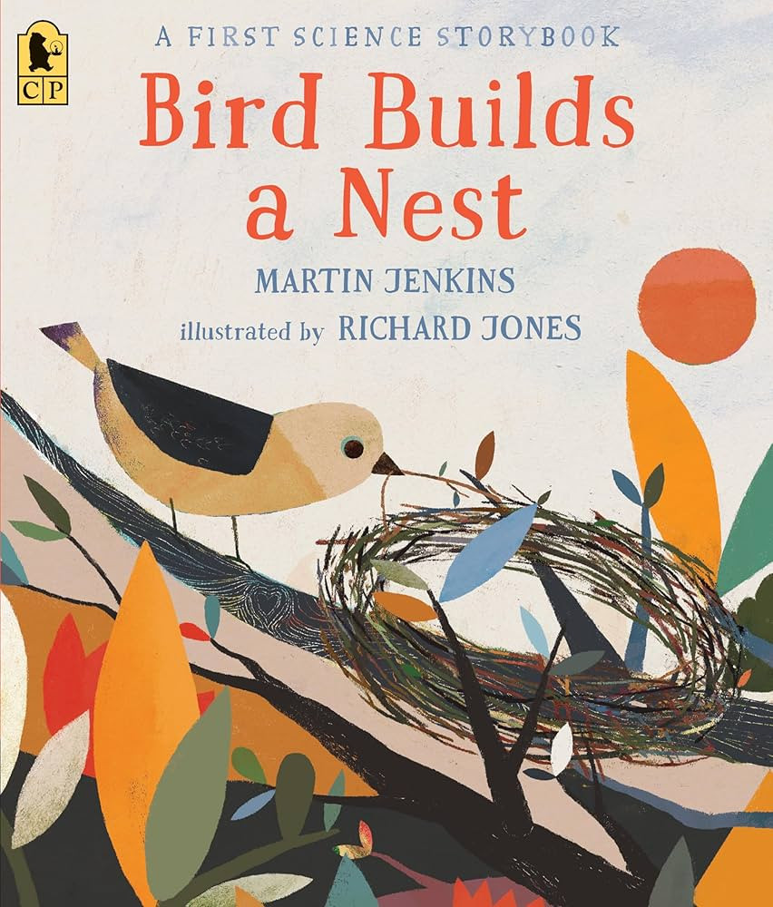 Bird Builds a Nest: A First Science Storybook (Science Storybooks) | Amazon (US)