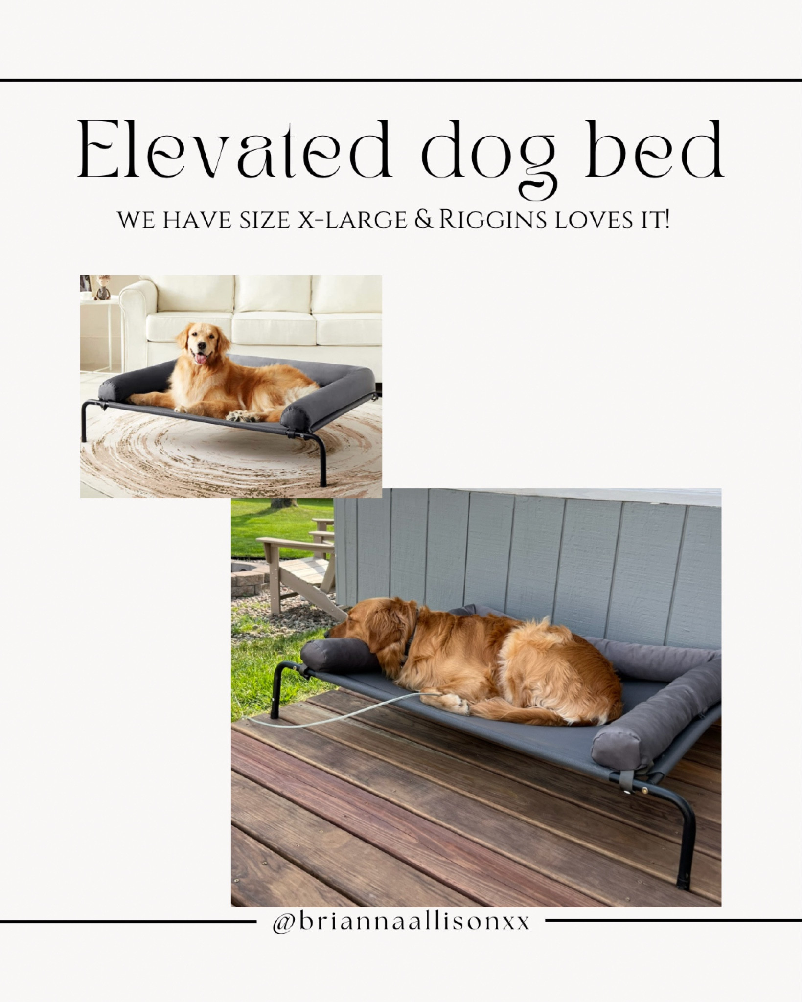 Paws & Pals Dog Bed Elevated High … curated on LTK