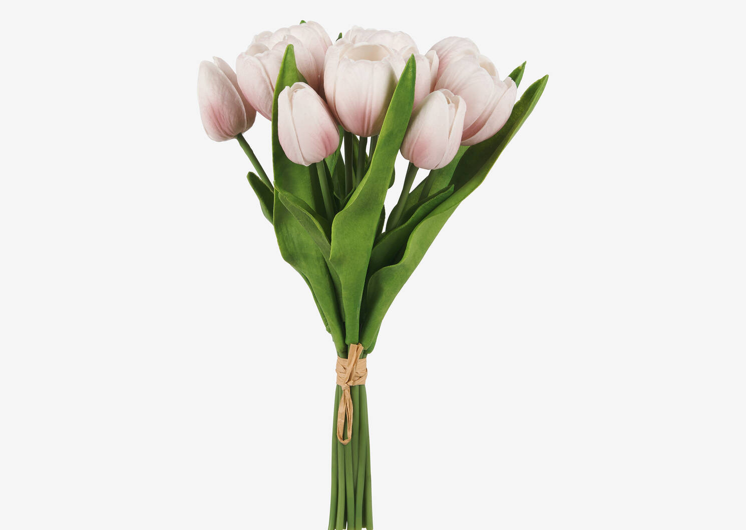 Agnes Tulip Bunch Pink/White | Urban Barn