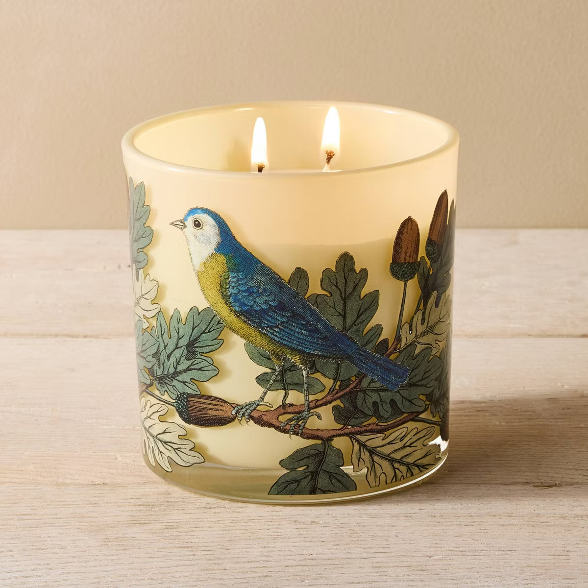2 Wick Glass Cedar Amber and Myrrh Painted Acorn and Branches Jar Candle Gold 13oz - John Derian ... | Target