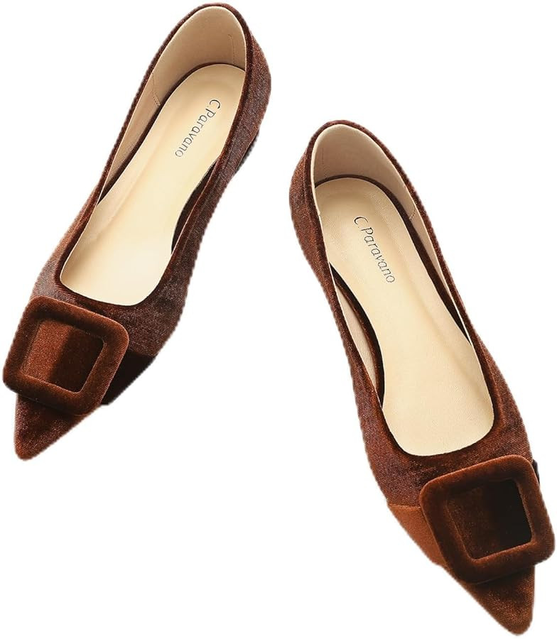 C.Paravano Women's Flats Velvet Pointed Toe Flats Slip-On Casual Work Shoes for Daily Wear Comfor... | Amazon (US)