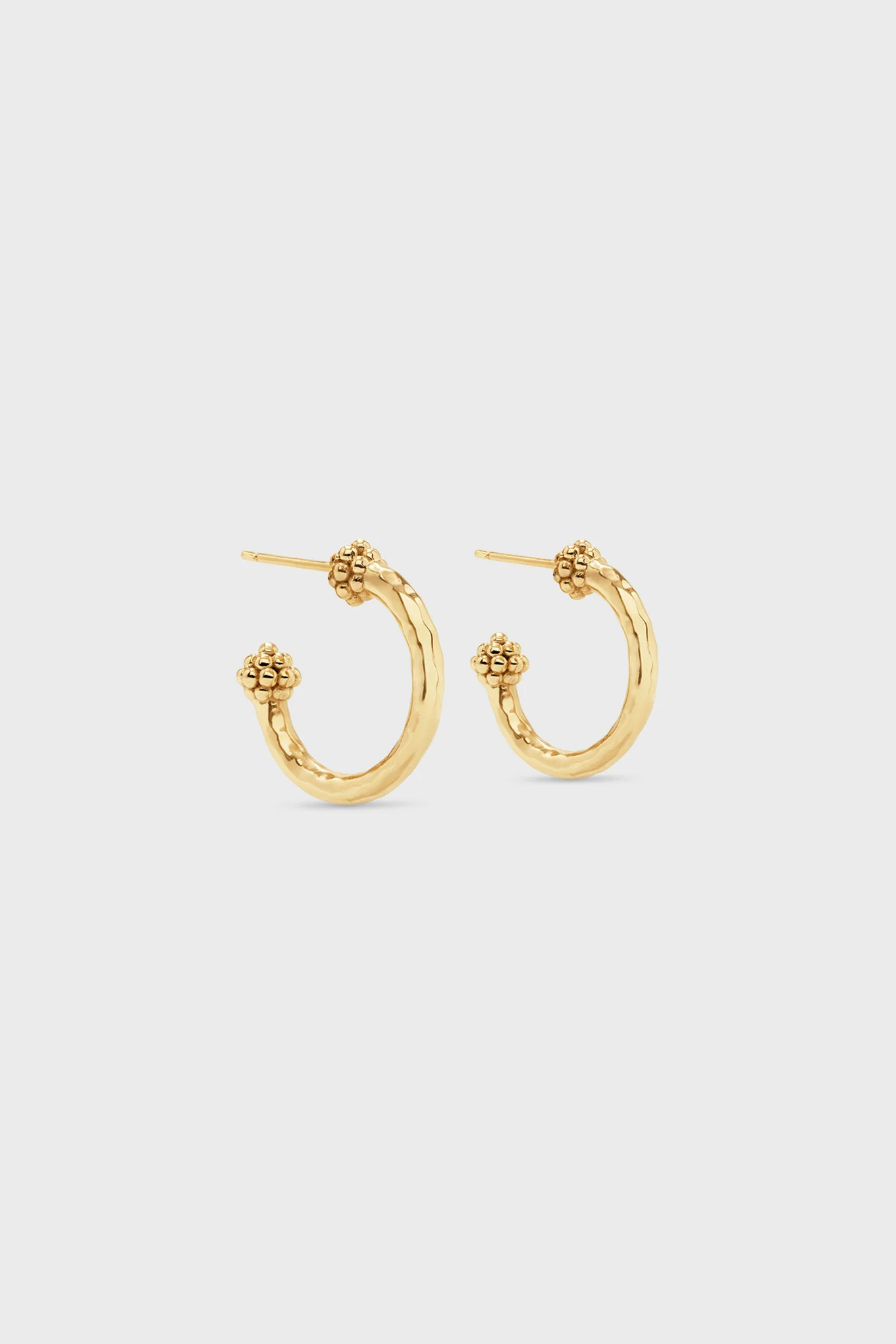 Gold Berry Small Hoop Earrings | Tuckernuck (US)