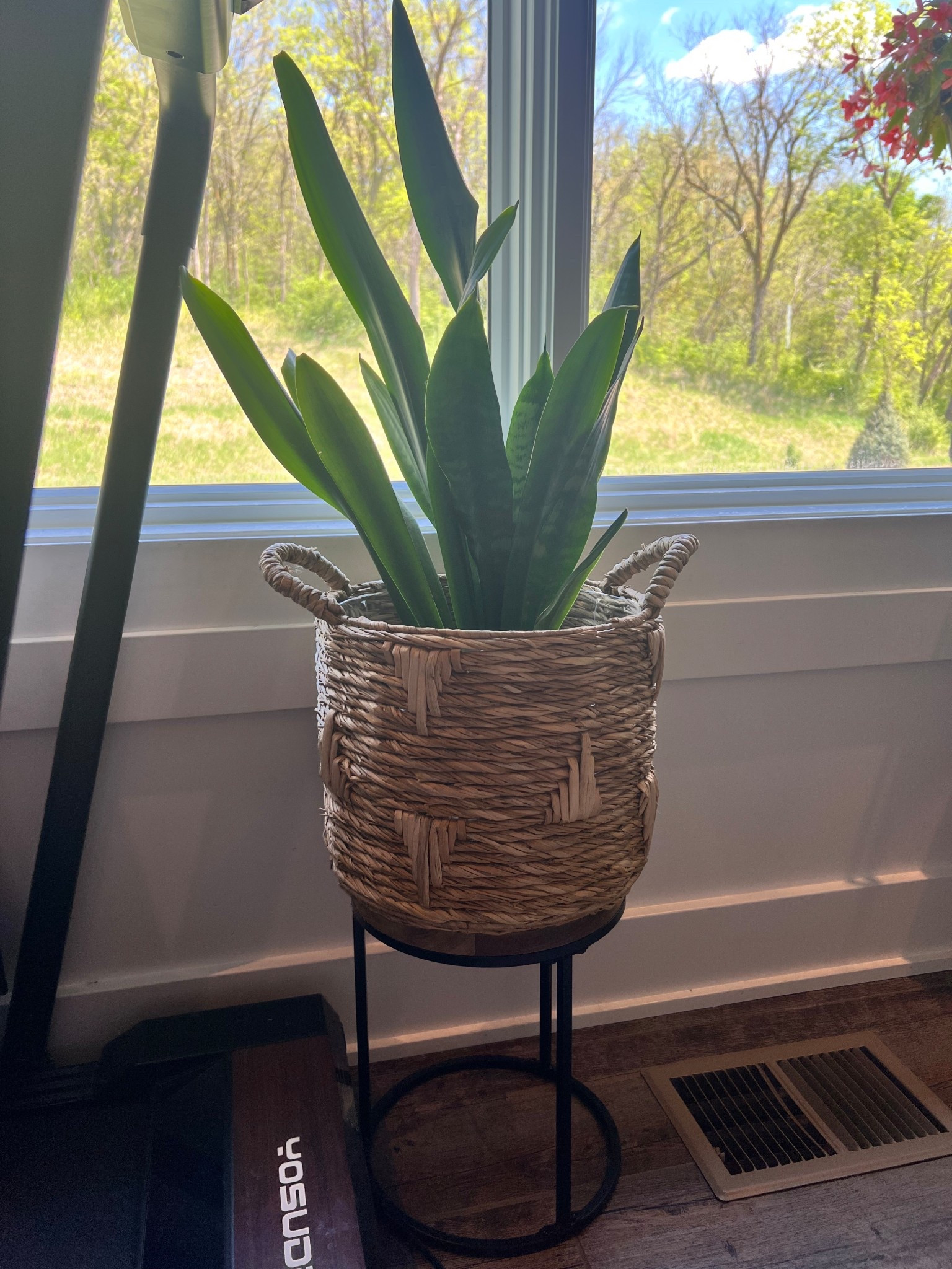 Plant stand 

#plant #stand

#LTKHome