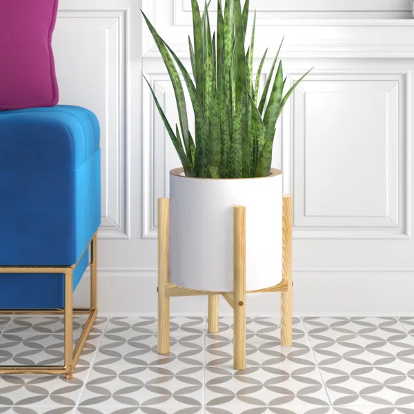 Odessa Ceramic Pot Planter | Wayfair North America