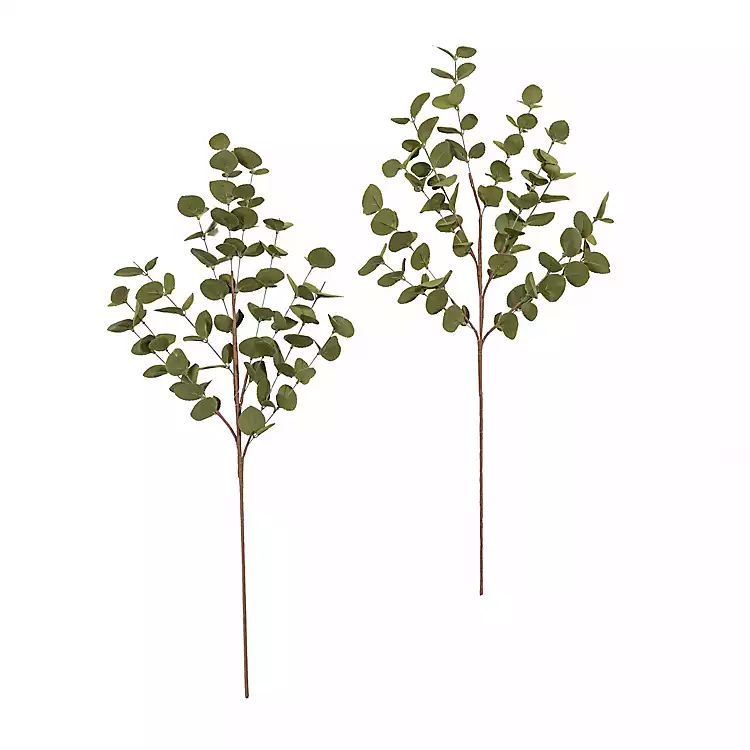 New! Autumn Green Eucalyptus Stems, Set of 2 | Kirkland's Home