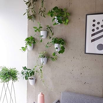 PlantPod Luxe - Self-Watering Wall Planters (Set of 6) - Easy to Water and Install - Lightweight ... | Amazon (US)