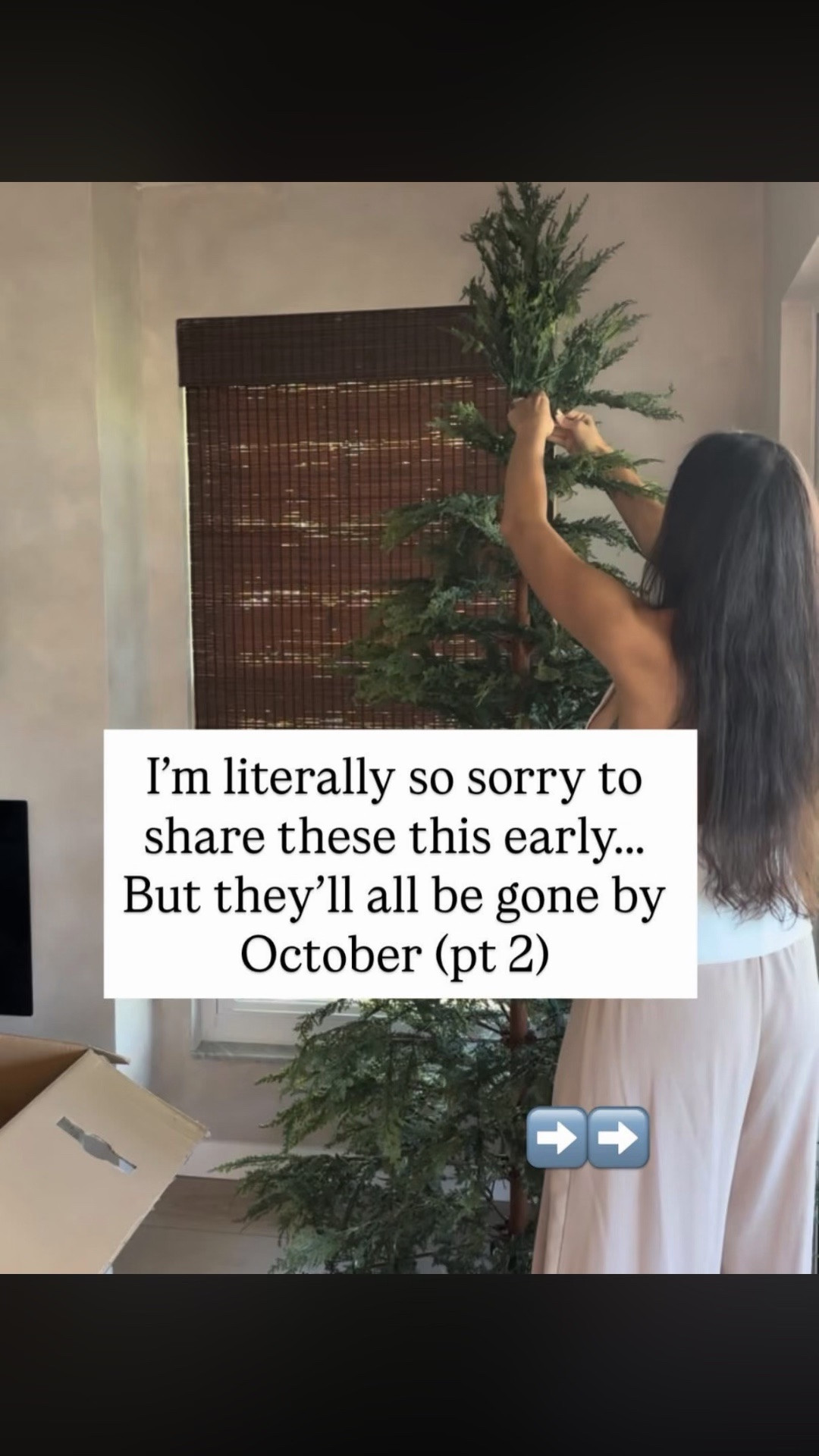 I’m literally so sorry to share these this early…But they’ll all be gone by October (part 2)