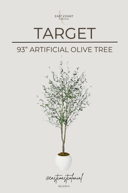 Threshold and Studio McGee artificial potted olive tree. This one is a stunner!! 

#LTKHome #LTKGiftGuide #LTKStyleTip