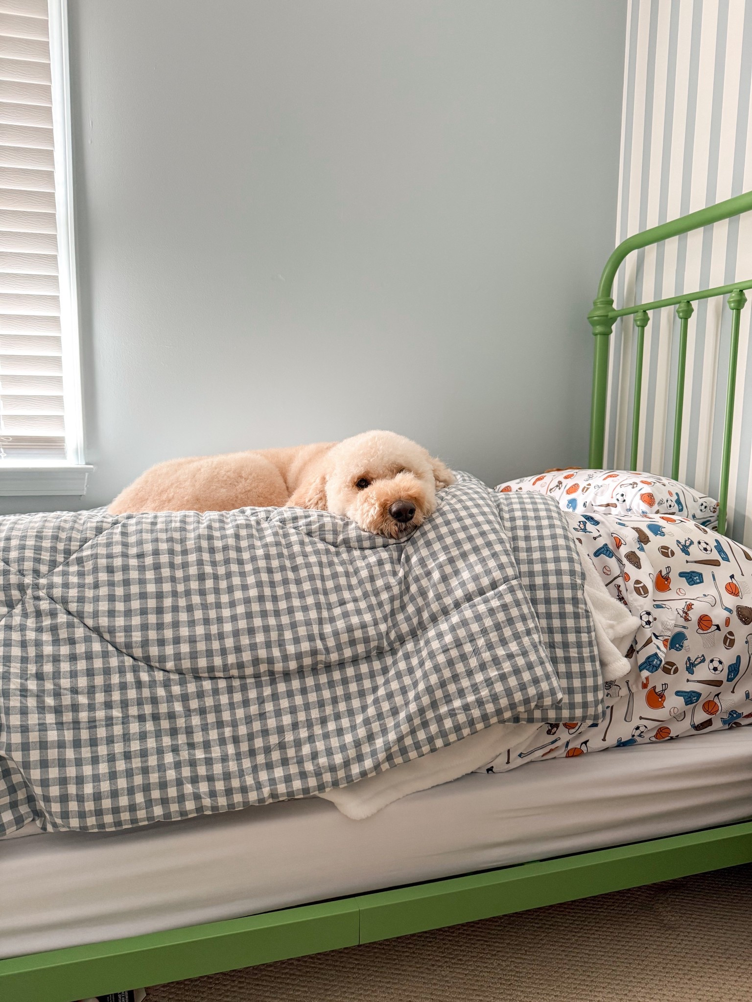 Duncan is a big fan of the big boy bed! 
Everything I could link is below.

Gingham comforter, blue gingham, toddler bedding, green bed, sports bedding 

#LTKKids #LTKmomlife #LTKHome