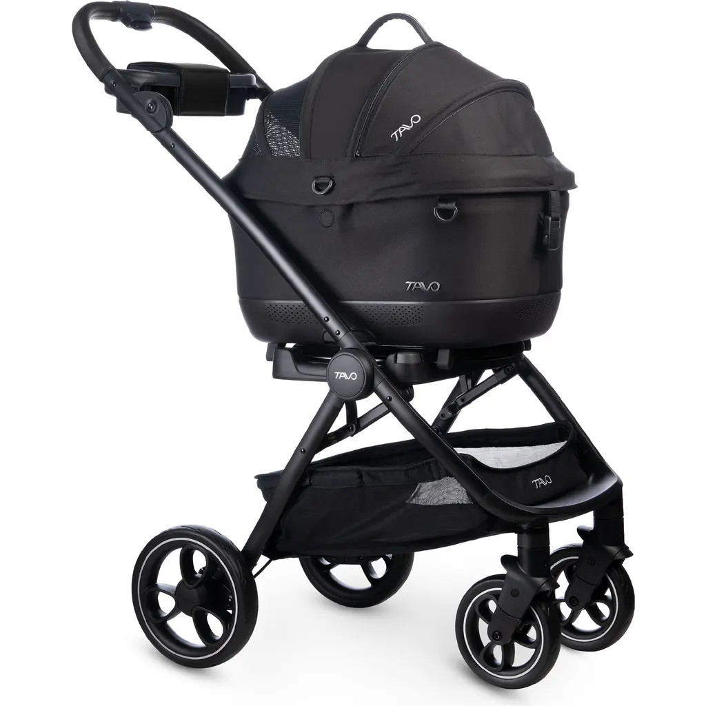 10929824_SunnyTails | Nordstrom