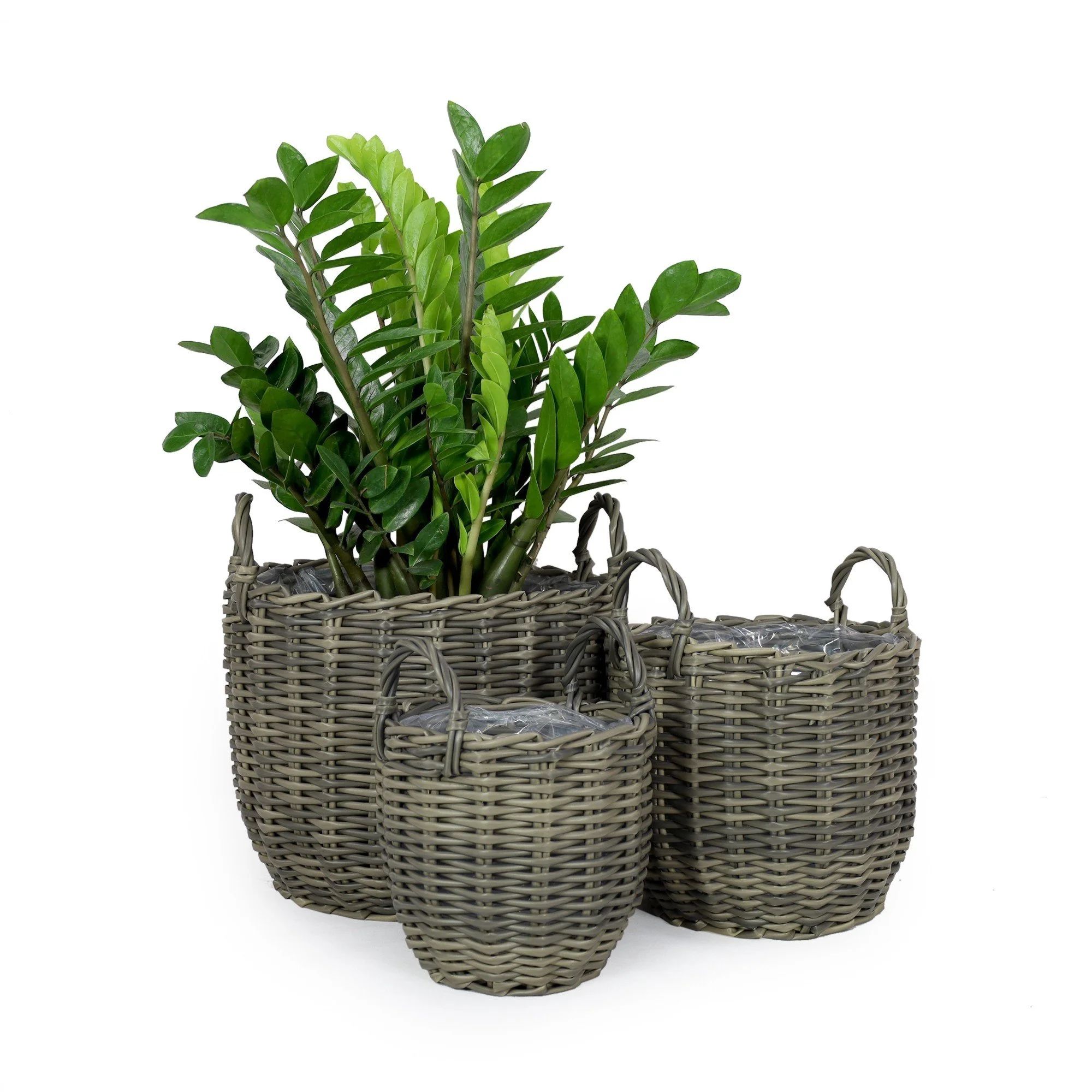 DTY Signature 3-Pack Catleza Wicker Multi-purposes Basket with handler - Planter basket - Gray | Walmart (US)