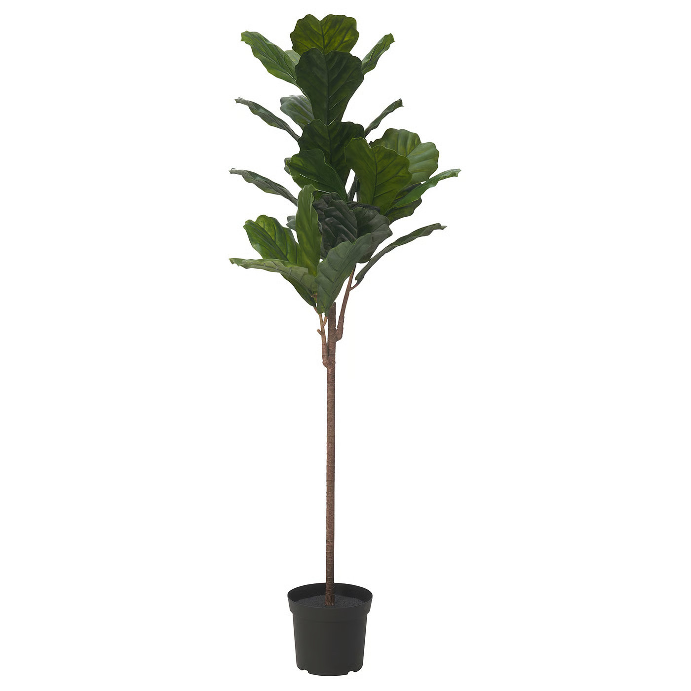 IKEA FEJKA artificial potted plant, indoor/outdoor fiddle-leaf fig, 7 ½ | IKEA US