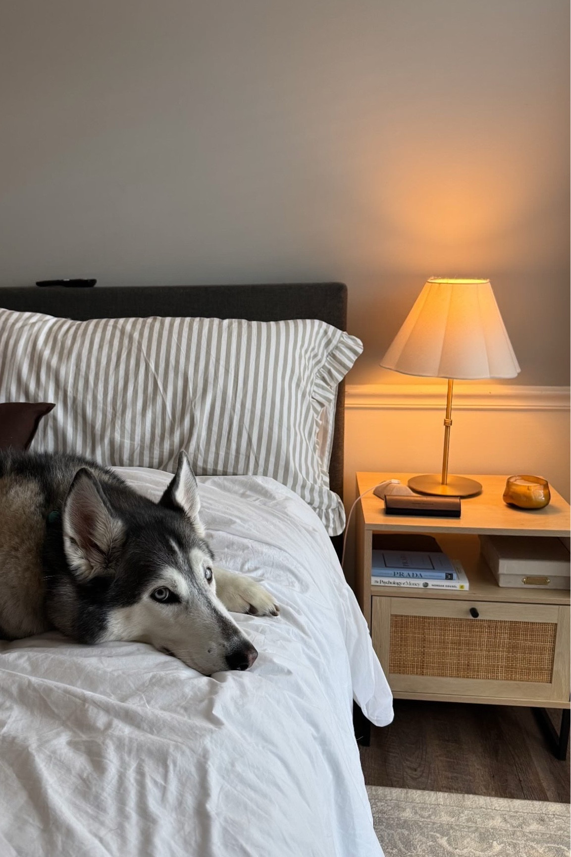 neutral bedroom

ruffle pillows

#LTKFindsUnder100 #LTKHome #LTKFindsUnder50