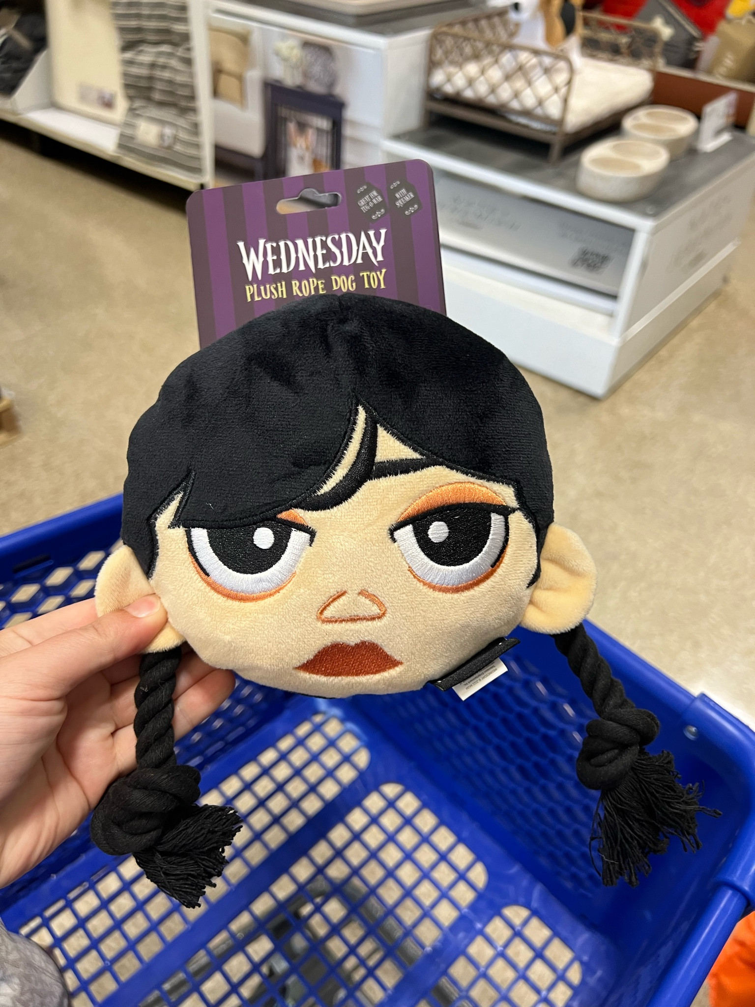 Wednesday dog toy! 

#LTKHome #LTKFindsUnder50 #LTKFamily