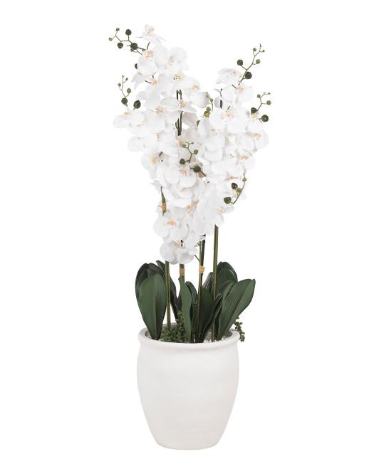 49in Real Touch Orchid And String Of Pearls In Tall Planter | TJ Maxx