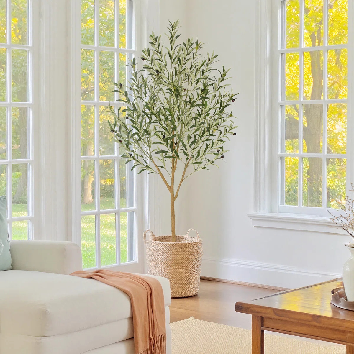Primrue | Wayfair North America