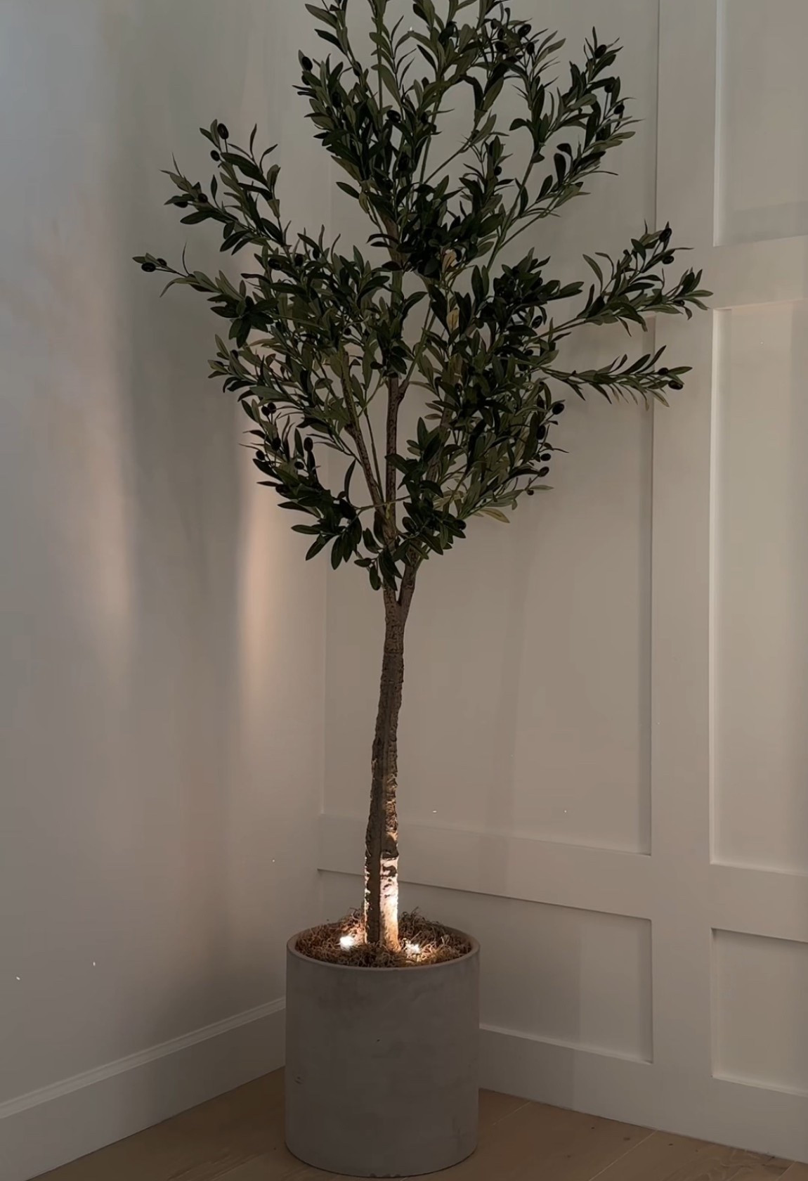 Scroll to shop!! Follow for more!!! Xo! ✨

#LTKdayinmylife #LTKFindsUnder100 #LTKHome