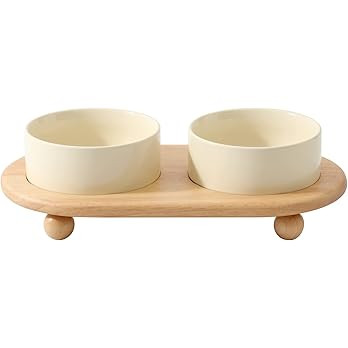 Ceramic Elevated Cat Food and Water Bowl, Kitty Bowl, Raised Cat Dish, Cat Feeder (5.1 in, 2 x Be... | Amazon (US)