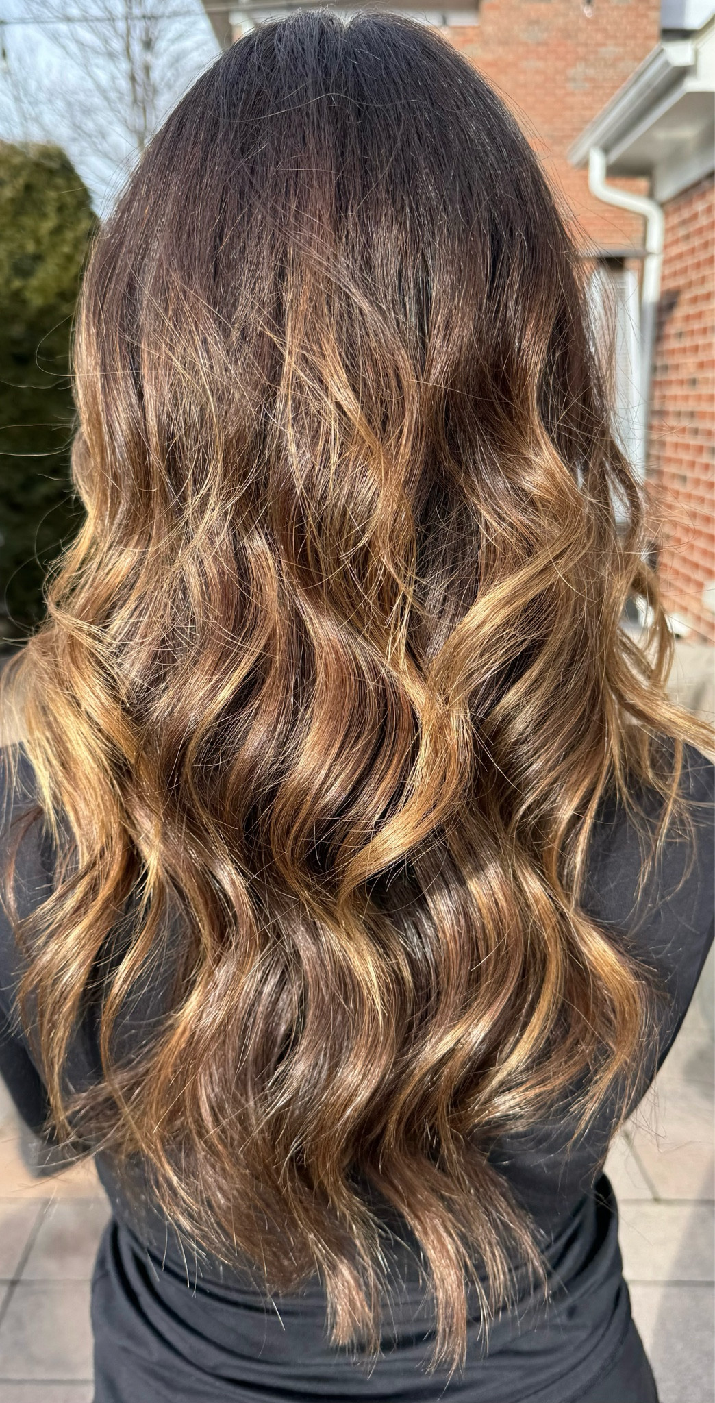 Hair care + Nutrafol 

#LTKbeauty