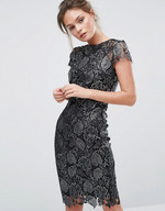 Click for more info about Paper Dolls Metallic Lace Pencil Dress