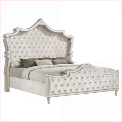 Eastern King Upholstered Panel Bed with Wingback Headboard, Ivory Velvet & Camel Trim, French Provincial Style for Master Bedroom | Wayfair North America