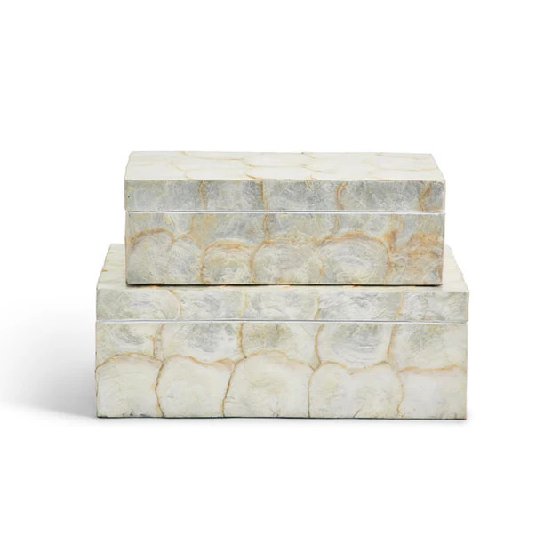 Sausalito Shell Decorative Boxes | Cailini Coastal