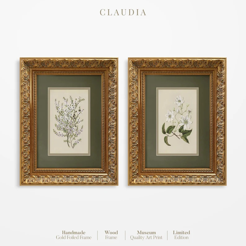 Framed Botanical Wall Art, White Flowers Wall Decor, Floral Set of 2, White Floral Painting Print... | Etsy (US)