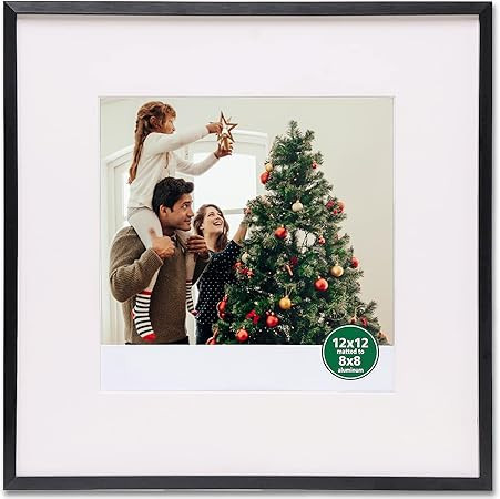 TheDisplayGuys - Contemporary Aluminum Picture Frame - Tempered Glass - Square 12x12 matted to 8x... | Amazon (US)