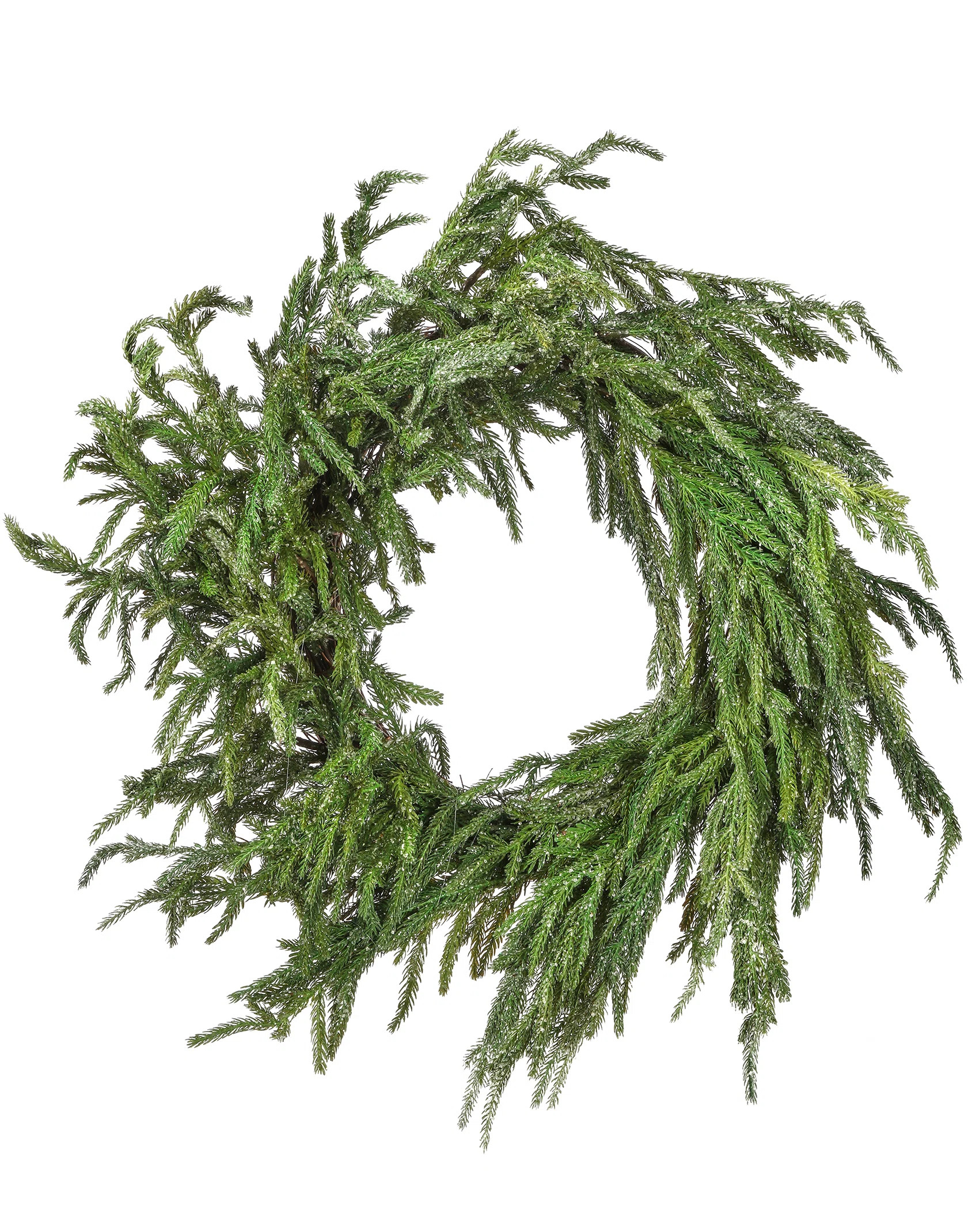 Iced Garden Norfolk 24" Wreath | Wayfair North America