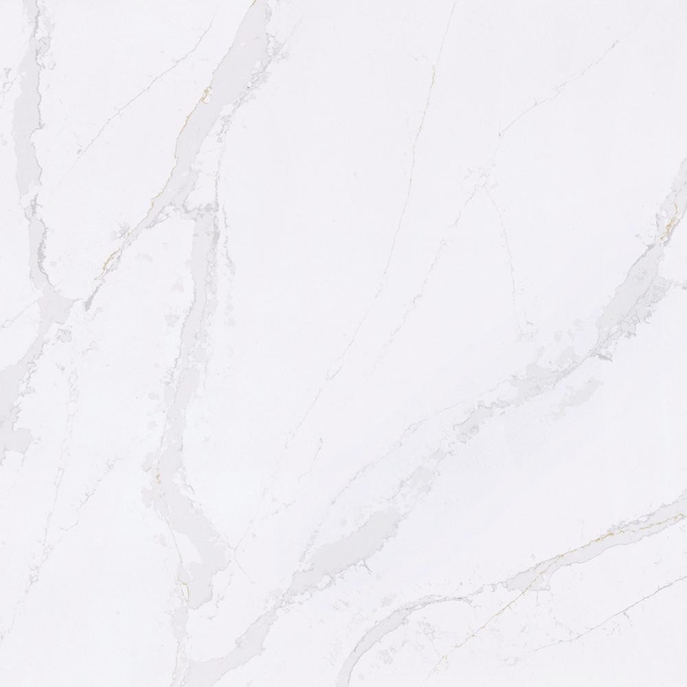 4 in. x 8 in. Quartz Countertop Sample in Calacatta Gold | The Home Depot