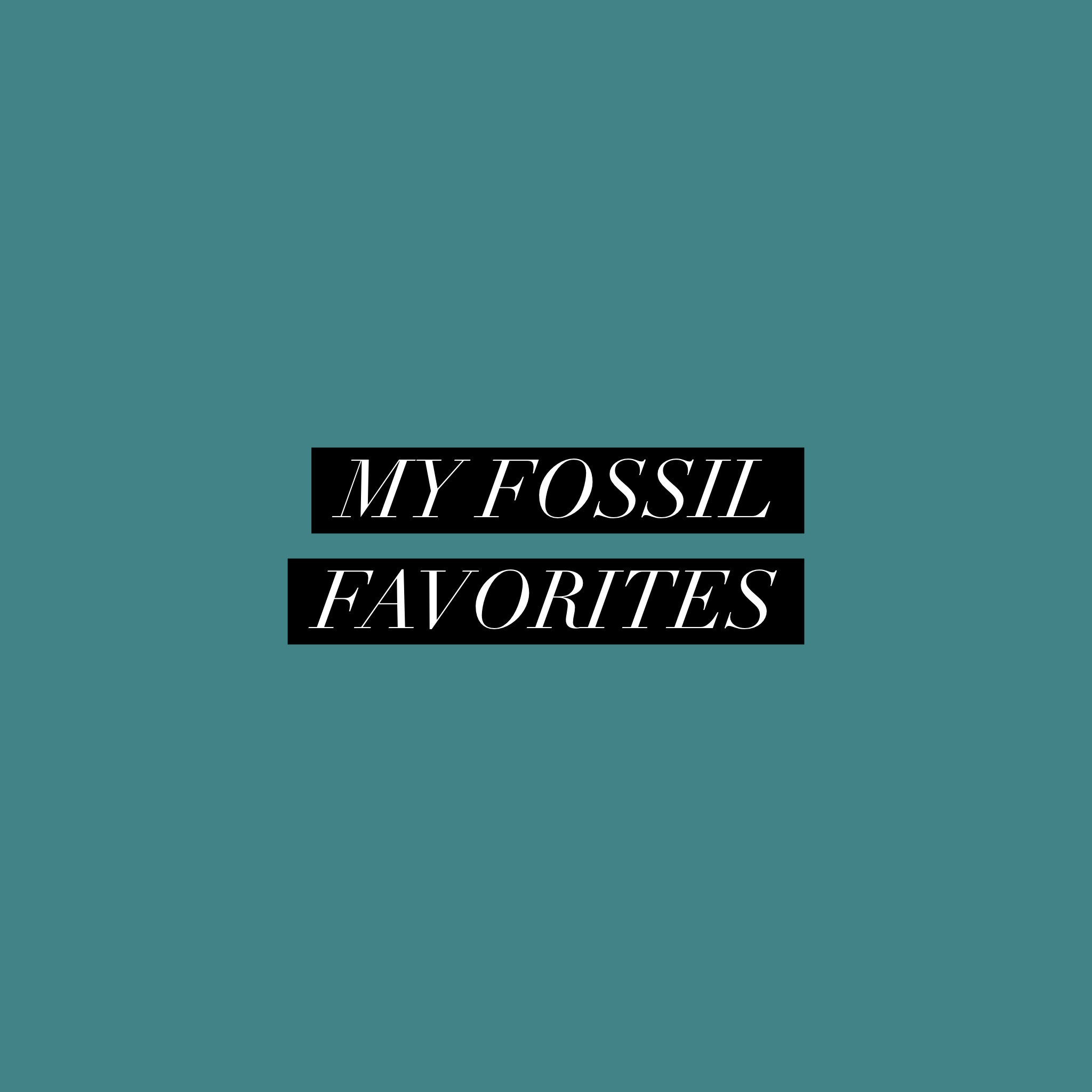 As a merchandiser for Fossil, here are some of my favs from the Holiday 2024 collection ✨