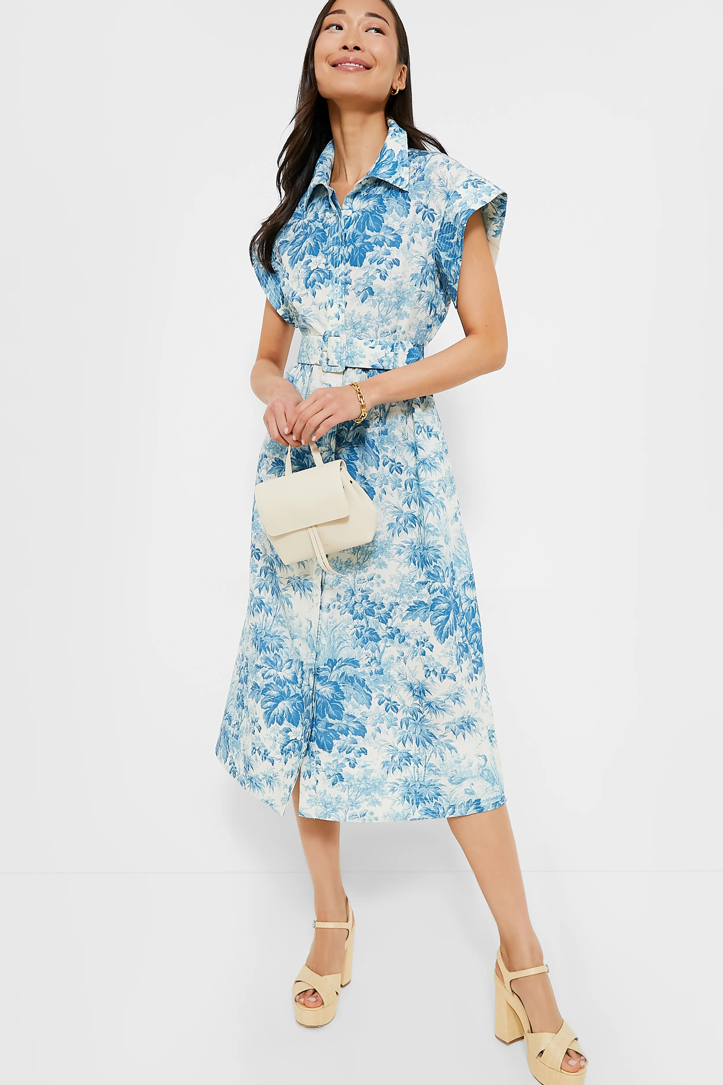 Misty Blue Toile Chloe Dress | Tuckernuck (US)