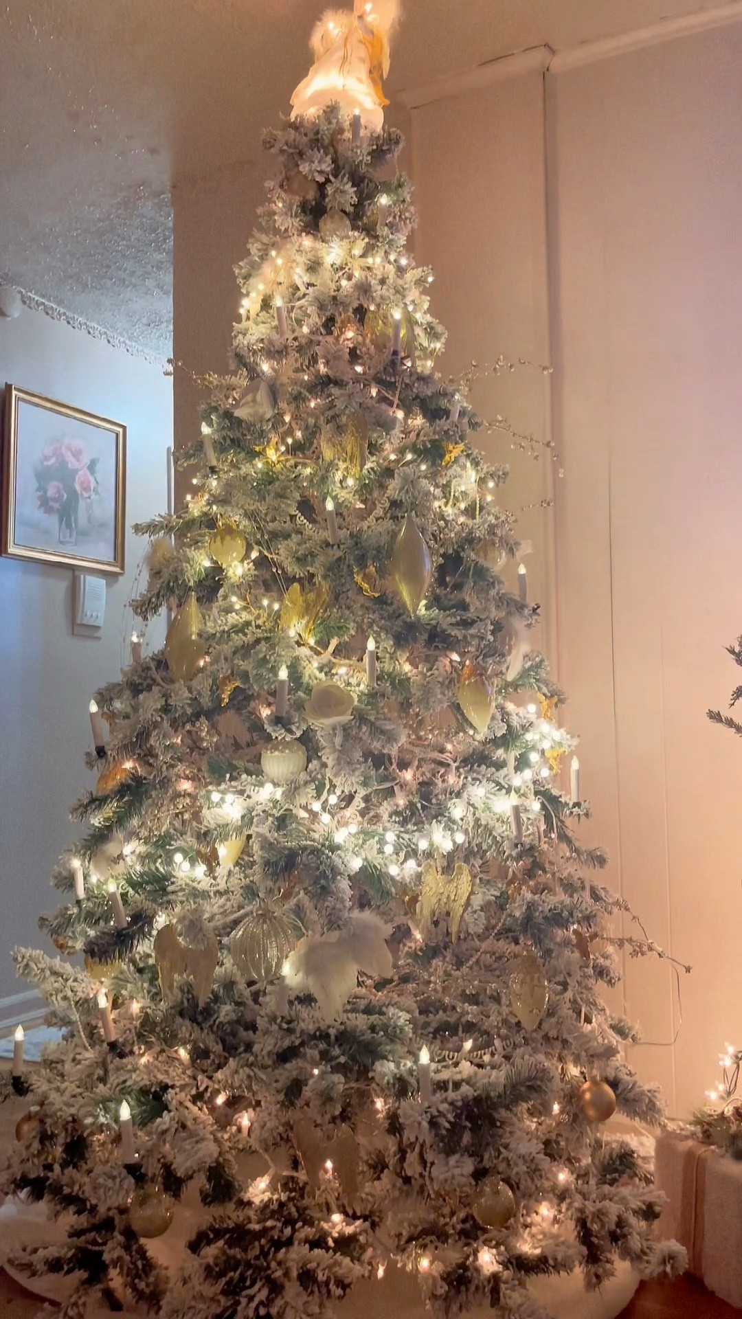 Christmas tree this year and more! #christmas 

#LTKCyberweek #LTKSeasonal