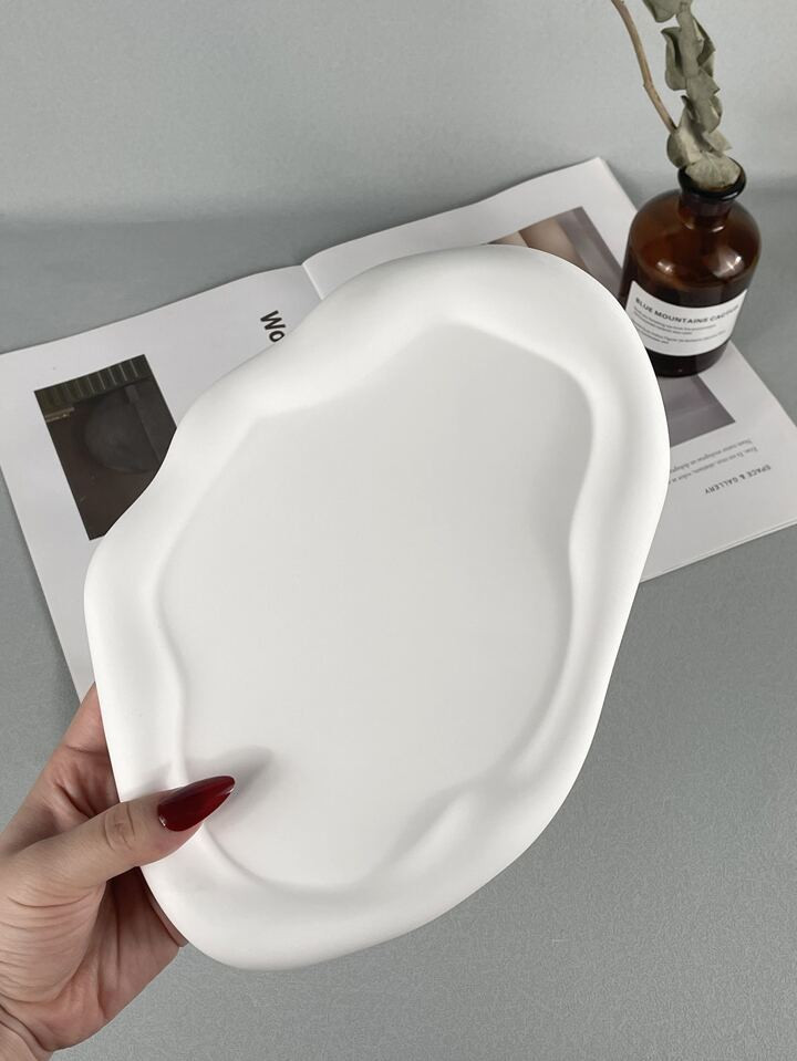 1pc Irregular Oval Shaped Jewelry Tray | SHEIN