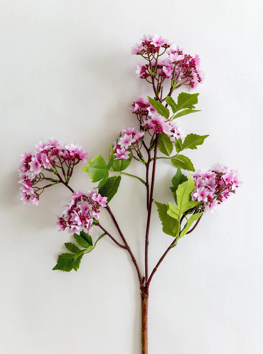 Faux Bouvardia Stem | House of Jade Home