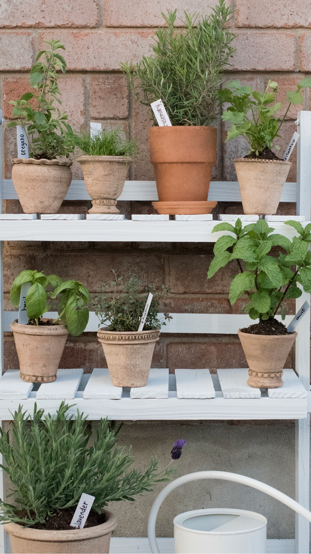 #ad It’s SpringFest at @loweshomeimprovement … I’m going to link some of my favorites you can grab on deal for spring this week! From plants and gardening essentials to my go-to pressure washer, snag the necessities while they’re on sale ahead of summer. #LowesPartner #Lowes

#LTKSaleAlert #LTKHome #LTKSeasonal