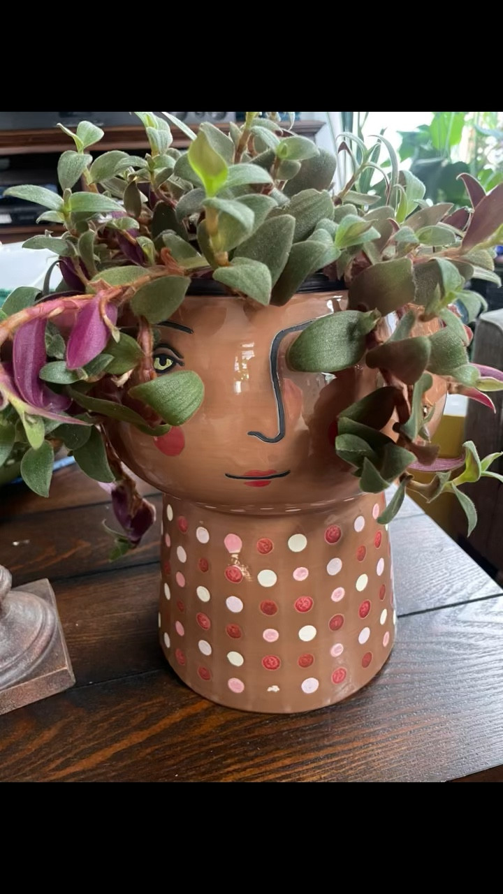 planter  to shows off your greenery in style
natural look
 blends  with any decor style
Great for potting a variety of plants and flowers

#LTKSale #LTKhome #LTKunder50